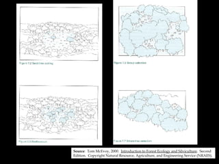 Source :  Tom McEvoy, 2000.  Introduction to Forest Ecology and Silviculture .  Second Edition.  Copyright Natural Resource, Agriculture, and Engineering Service (NRAES). 