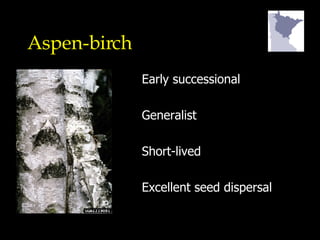 Aspen-birch Early successional Generalist Short-lived Excellent seed dispersal 
