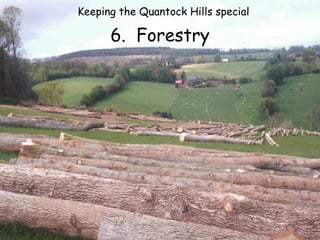 6.  Forestry Keeping the Quantock Hills special  