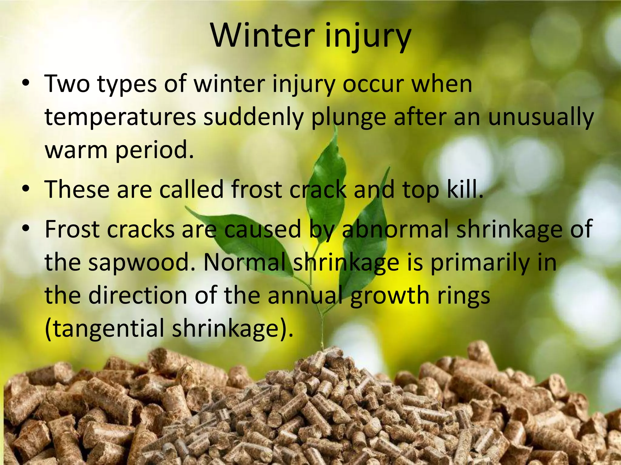 injuries to forest and biotic,abiotic agencies | PPTX