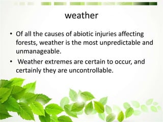 injuries to forest and biotic,abiotic agencies | PPTX