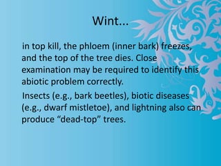injuries to forest and biotic,abiotic agencies | PPTX