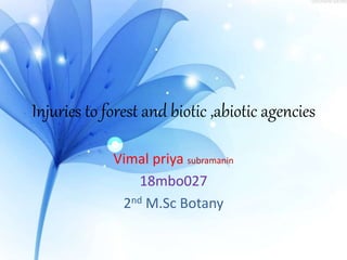 Injuries to forest and biotic ,abiotic agencies
Vimal priya subramanin
18mbo027
2nd M.Sc Botany
 
