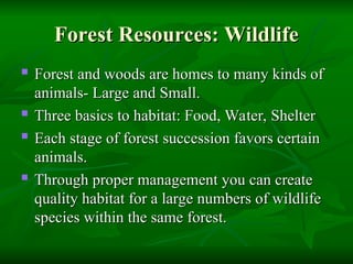 Forestry-Basics.ppt presentation of forest | PPT
