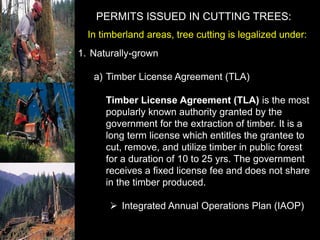 Timber Rights Process Forestry-Laws.ppt