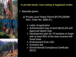 Timber Rights Process Forestry-Laws.ppt