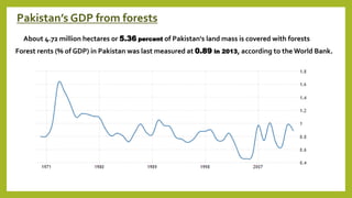Forestry | PPTX