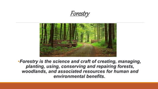Forestry
•Forestry is the science and craft of creating, managing,
planting, using, conserving and repairing forests,
wood...