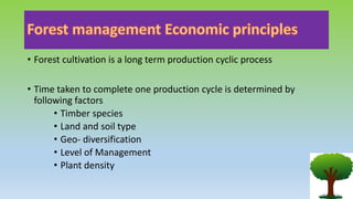 • Forest cultivation is a long term production cyclic process
• Time taken to complete one production cycle is determined by
following factors
• Timber species
• Land and soil type
• Geo- diversification
• Level of Management
• Plant density
 