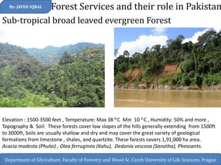 Forest Services and their role in Pakistan 
By: JAVED IQBAL 
Department of Silviculture, Faculty of Forestry and Wood Sc, Czech University of Life Sciences, Prague 
Sub-tropical broad leaved evergreen Forest 
Elevation : 1500-3500 feet , Temperature: Max 38 0 C Min 10 0 C , Humidity: 50% and more , Topography & Soil: These forests cover low slopes of the hills generally extending from 1500ft to 3000ft, Soils are usually shallow and dry and may cover the great variety of geological formations from limestone , shales, and quartzite. These forests covers 1,91,000 ha area. 
Acacia modesta (Phulai) , Olea ferruginea (Kahu), Dedonia vescosa (Sanatha), Pheasants. 
 