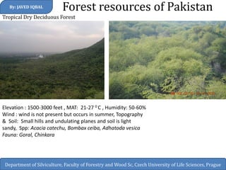 Tropical Dry Deciduous Forest 
Forest resources of Pakistan 
By: JAVED IQBAL 
Department of Silviculture, Faculty of Forestry and Wood Sc, Czech University of Life Sciences, Prague 
Elevation : 1500-3000 feet , MAT: 21-27 0 C , Humidity: 50-60% 
Wind : wind is not present but occurs in summer, Topography & Soil: Small hills and undulating planes and soil is light sandy, Spp: Acacia catechu, Bombax ceiba, Adhatoda vesica Fauna: Goral, Chinkara 
 