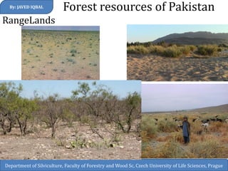 RangeLands 
Forest resources of Pakistan 
By: JAVED IQBAL 
Department of Silviculture, Faculty of Forestry and Wood Sc, Czech University of Life Sciences, Prague  