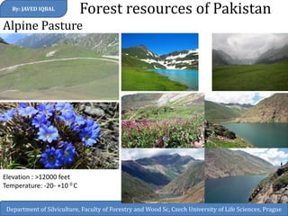 Forest resources of Pakistan 
Alpine Pasture 
By: JAVED IQBAL 
Department of Silviculture, Faculty of Forestry and Wood Sc, Czech University of Life Sciences, Prague 
Elevation : >12000 feet 
Temperature: -20- +10 0 C 
 