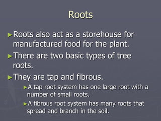 Introduction to Froestry | PPTX