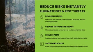 Unlocking Property Value with Modern Forestry Mulching Land Clearing ...