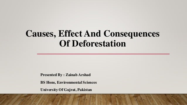 The Causes And Consequences Of Deforestation