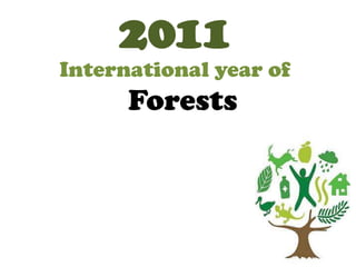 2011 International year of Forests 