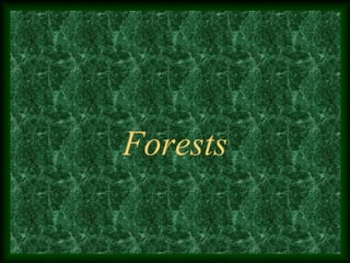 Forests
 