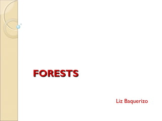 FORESTS

          Liz Baquerizo
 