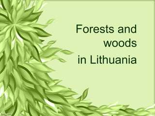 Forests and
woods
in Lithuania
 