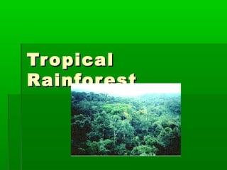 TropicalTropical
RainforestRainforest
 