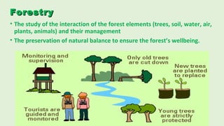 Forests | PPT