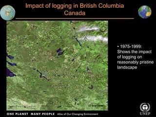 Impact of logging in British Columbia
Canada
• 1975-1999:
Shows the impact
of logging on
reasonably pristine
landscape
 