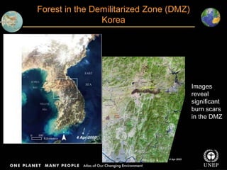 Forest in the Demilitarized Zone (DMZ)
Korea
Images
reveal
significant
burn scars
in the DMZ
 