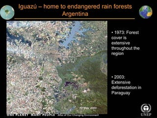 Iguazú – home to endangered rain forests
Argentina
• 1973: Forest
cover is
extensive
throughout the
region
• 2003:
Extensi...