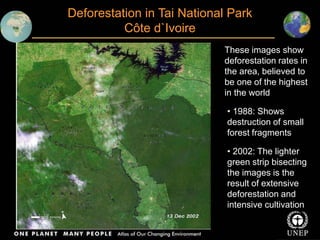 Deforestation in Tai National Park
Côte d`Ivoire
These images show
deforestation rates in
the area, believed to
be one of ...