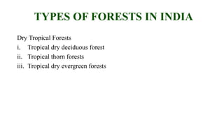 TYPES OF FORESTS IN INDIA
Dry Tropical Forests
i. Tropical dry deciduous forest
ii. Tropical thorn forests
iii. Tropical dry evergreen forests
 