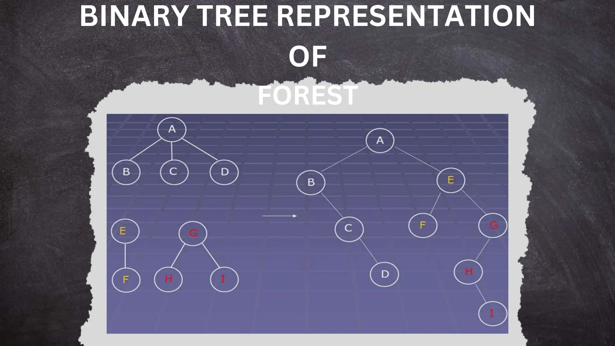 BINARY TREE REPRESENTATION
OF
FOREST
 