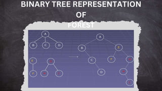 BINARY TREE REPRESENTATION
OF
FOREST
 