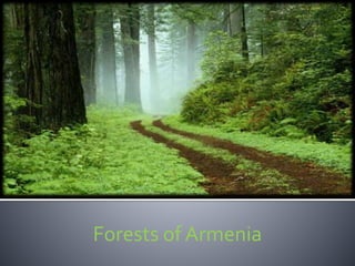 Forests of Armenia
 