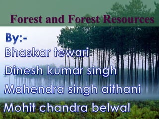 Forest and Forest Resources

 