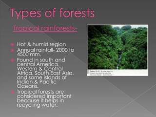 Forests and forest resources | PPT