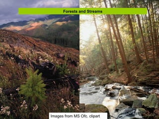 Forests and Streams




Images from MS Ofc. clipart
 