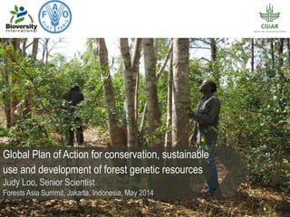 Global Plan of Action for conservation, sustainable
use and development of forest genetic resources
Judy Loo, Senior Scientist
Forests Asia Summit, Jakarta, Indonesia, May 2014
 