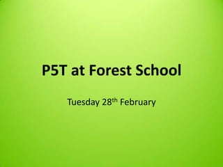 P5T at Forest School
   Tuesday 28th February
 