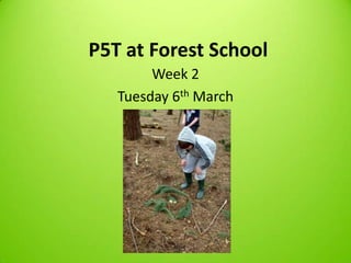 P5T at Forest School
        Week 2
   Tuesday 6th March
 