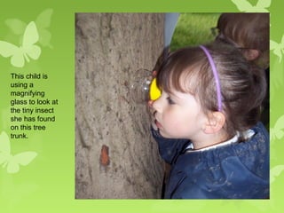 Forest school presentation nature | PPT