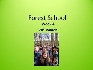Forest School
    Week 4
   20th March
 