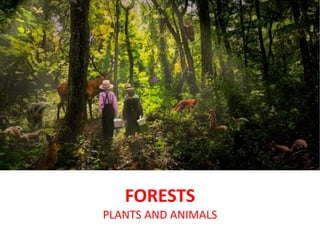 FORESTS
PLANTS AND ANIMALS
 