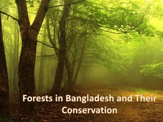 Forests In Bangladesh And Their Conservation Pptx Forests In Bangladesh And Their Conservation Pptx
