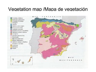 Vegetation map /Mapa de vegetación
 