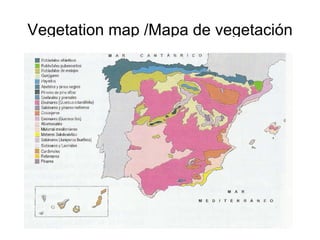 Vegetation map /Mapa de vegetación 