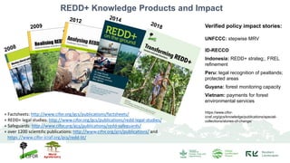 The Role and Importance of Tropical Carbon Sinks in the Context of ...