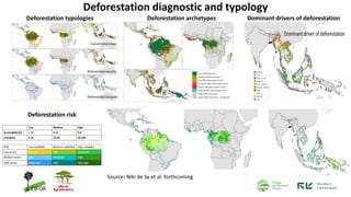 The Role and Importance of Tropical Carbon Sinks in the Context of ...