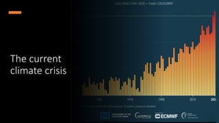 The Role and Importance of Tropical Carbon Sinks in the Context of ...