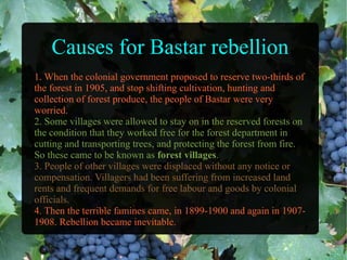 Causes for Bastar rebellion
1. When the colonial government proposed to reserve two-thirds of
the forest in 1905, and stop shifting cultivation, hunting and
collection of forest produce, the people of Bastar were very
worried.
2. Some villages were allowed to stay on in the reserved forests on
the condition that they worked free for the forest department in
cutting and transporting trees, and protecting the forest from fire.
So these came to be known as forest villages.
3. People of other villages were displaced without any notice or
compensation. Villagers had been suffering from increased land
rents and frequent demands for free labour and goods by colonial
officials.
4. Then the terrible famines came, in 1899-1900 and again in 1907-
1908. Rebellion became inevitable.
 